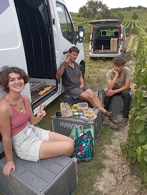 deuxième année de pousse