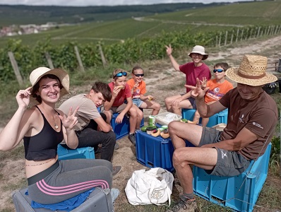 deuxième année de pousse